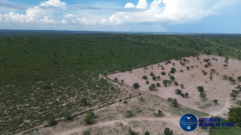 Imagem Fazenda à Venda, 1 m² em Zona Rural - Novo São Joaquim Imagem Fazenda à Venda, 1 m² em Zona Rural - Novo São Joaquim