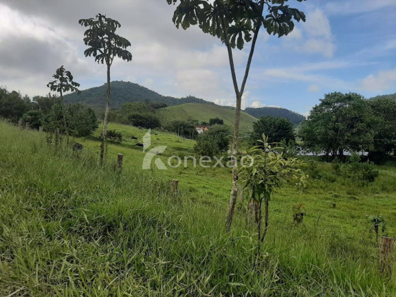 Imagem Fazenda à Venda, 600 m² em Pouso Alto - Natividade Da Serra Imagem Fazenda à Venda, 600 m² em Pouso Alto - Natividade Da Serra
