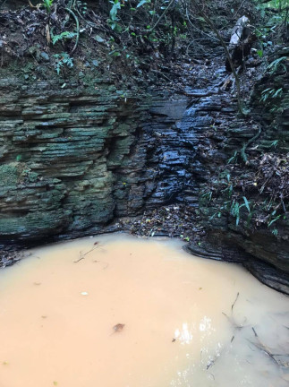 Imagem Terreno à Venda, em Pilar Do Sul Imagem Terreno à Venda, em Pilar Do Sul