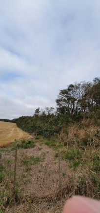 Imagem Chácara à Venda, 20.000 m² em Ponte Alta - Avaré