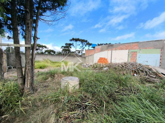 Imagem Terreno à Venda, em Jardim Bela Vista - Piraquara Imagem Terreno à Venda, em Jardim Bela Vista - Piraquara