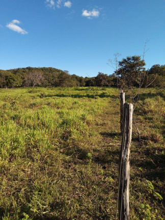 Imagem Fazenda à Venda, 237 m² em Zona Rural - Faina Imagem Fazenda à Venda, 237 m² em Zona Rural - Faina