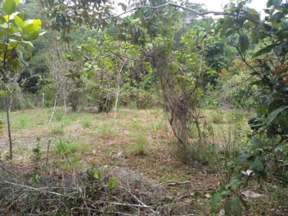 Imagem Imóvel à Venda, em Rural - Uruçuca Imagem Imóvel à Venda, em Rural - Uruçuca
