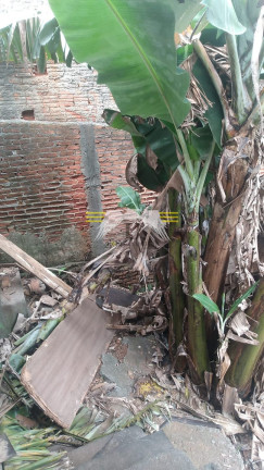 Imagem Terreno à Venda, 252 m² em Jardim Vila Formosa - São Paulo Imagem Terreno à Venda, 252 m² em Jardim Vila Formosa - São Paulo