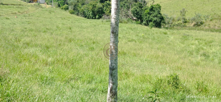 Imagem Chácara à Venda, 63.000 m² em Centro - Santa Branca Imagem Chácara à Venda, 63.000 m² em Centro - Santa Branca