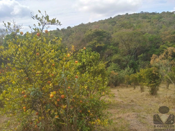 Imagem Imóvel à Venda, 1.000 m² em Moeda - Moeda Imagem Imóvel à Venda, 1.000 m² em Moeda - Moeda