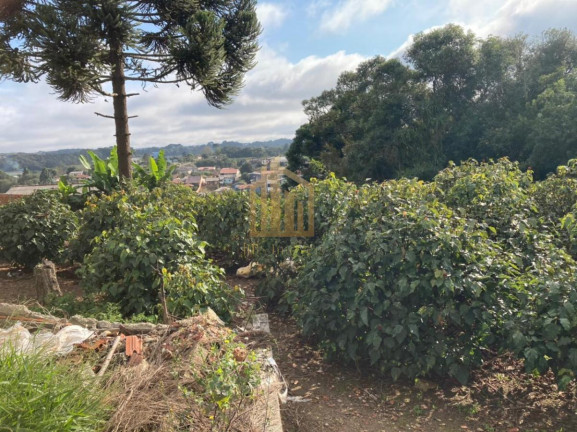 Imagem Terreno à Venda, 2.080 m² em Vila Santa Terezinha - Loteamento Vila Santo Onofre - Campo Largo