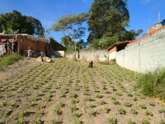Imagem Terreno à Venda, 250 m² em Jardim Nova Cotia - Itapevi