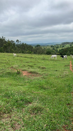 Imóvel à Venda, 60.500 m² em área Rural De Fernão - Fernão