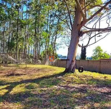Imagem Chácara com 2 Quartos à Venda, 3.000 m² em Dos Pessegueiros - Extrema