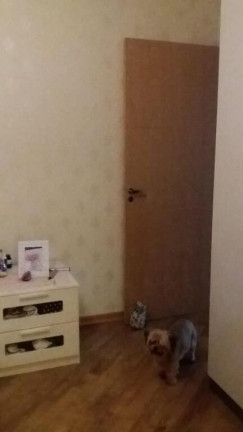 Imagem Sobrado com 3 Quartos à Venda, 120 m² em Vila Medeiros - São Paulo Imagem Sobrado com 3 Quartos à Venda, 120 m² em Vila Medeiros - São Paulo