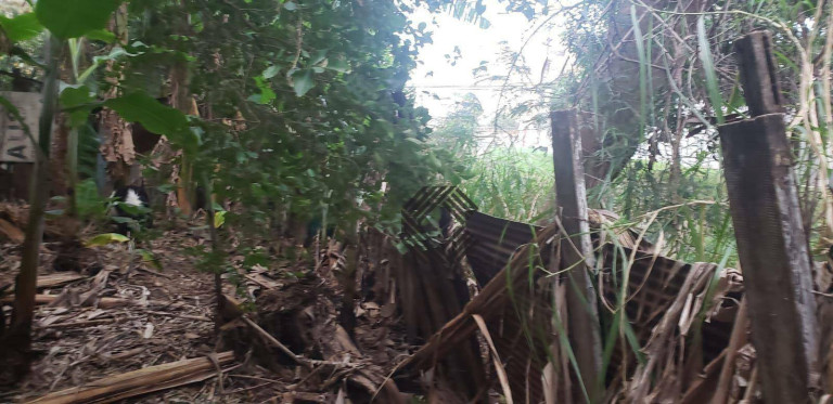 Imagem Casa com 2 Quartos à Venda, 200 m² em Jardim Faculdade - Sorocaba Imagem Casa com 2 Quartos à Venda, 200 m² em Jardim Faculdade - Sorocaba
