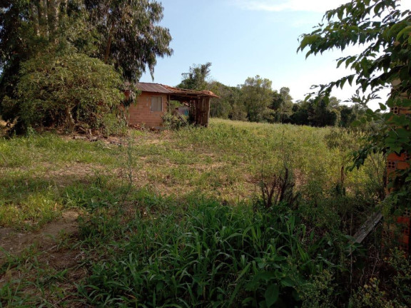 Imagem Imóvel com 3 Quartos à Venda, 130.000 m² em Cantagalo - Antônio Olinto Imagem Imóvel com 3 Quartos à Venda, 130.000 m² em Cantagalo - Antônio Olinto