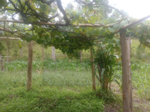 Imagem Chácara com 3 Quartos à Venda, 120 m² em Palmeiras - Natividade Da Serra Imagem Chácara com 3 Quartos à Venda, 120 m² em Palmeiras - Natividade Da Serra