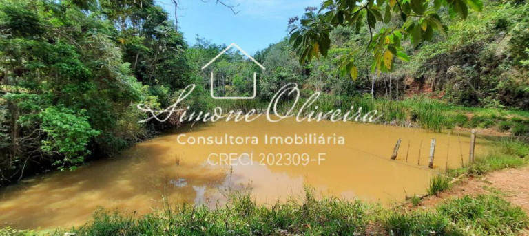 Imagem Chácara com 4 Quartos à Venda, 27.000 m² em Campinas - Pindamonhangaba Imagem Chácara com 4 Quartos à Venda, 27.000 m² em Campinas - Pindamonhangaba