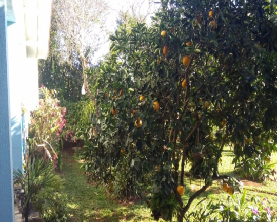 Imagem Imóvel com 3 Quartos à Venda, em Vale Verde - Nova Petrópolis Imagem Imóvel com 3 Quartos à Venda, em Vale Verde - Nova Petrópolis