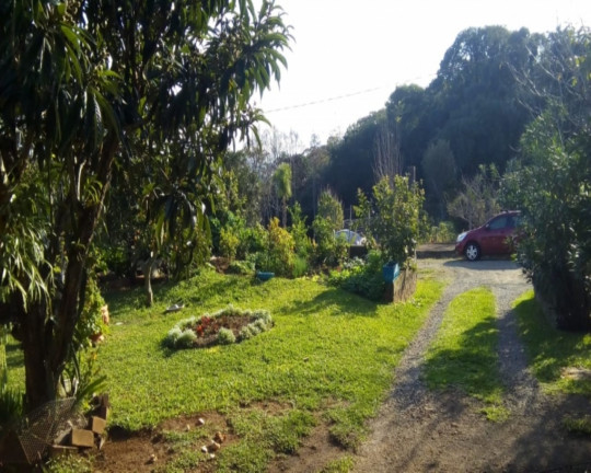 Imagem Imóvel com 3 Quartos à Venda, em Vale Verde - Nova Petrópolis Imagem Imóvel com 3 Quartos à Venda, em Vale Verde - Nova Petrópolis