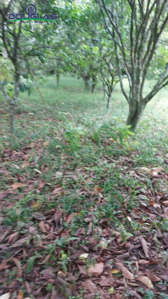 Imagem Casa com 1 Quarto à Venda,  em águas Claras - Viamão