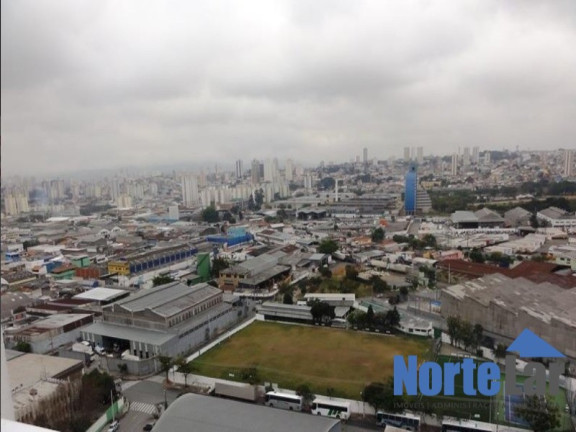 Imagem Apartamento com 3 Quartos à Venda, 64 m² em Vila Guilherme - São Paulo Imagem Apartamento com 3 Quartos à Venda, 64 m² em Vila Guilherme - São Paulo