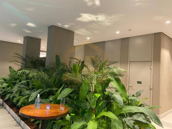 Imagem Apartamento com 3 Quartos à Venda, 113 m² em Chácara Santo Antônio - São Paulo