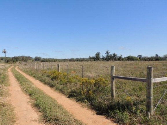 Imagem Terreno à Venda, 1.000 m² em Morro Grande - Viamão Imagem Terreno à Venda, 1.000 m² em Morro Grande - Viamão