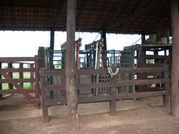 Imagem Imóvel à Venda, em Região Do Araguaia Xingu - São Félix Do Araguaia Imagem Imóvel à Venda, em Região Do Araguaia Xingu - São Félix Do Araguaia
