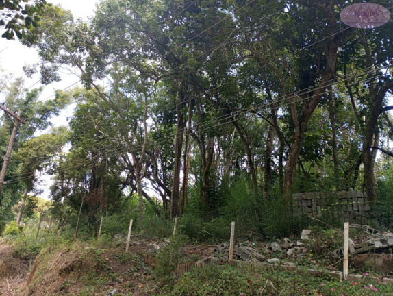 Imagem Terreno à Venda, 1.205 m² em Jardim Dos Eucaliptos - Suzano