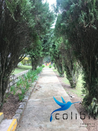 Imagem Chácara à Venda, 1.626 m² em Ximbuva - Agudos Do Sul Imagem Chácara à Venda, 1.626 m² em Ximbuva - Agudos Do Sul
