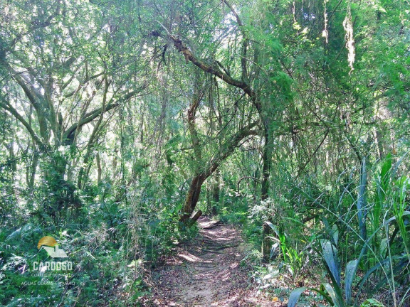 Imagem Fazenda à Venda, 150 m² em águas Claras - Viamão Imagem Fazenda à Venda, 150 m² em águas Claras - Viamão