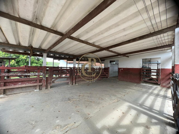 Imagem Fazenda à Venda, 6.000 m² em Chacara Do Moinho - Cachoeira Paulista