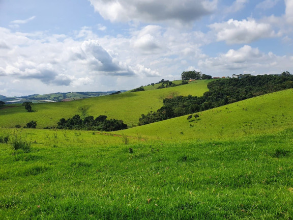 Imagem Imóvel à Venda, em Zona Rural - Congonhal Imagem Imóvel à Venda, em Zona Rural - Congonhal