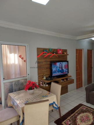 Imagem Apartamento com 2 Quartos à Venda, 49 m² em Jardim Recanto Dos Sonhos - Sumaré Imagem Apartamento com 2 Quartos à Venda, 49 m² em Jardim Recanto Dos Sonhos - Sumaré