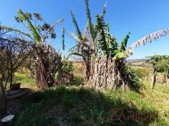 Imagem Chácara à Venda, 1.000 m² em Chácara Dallas - Taubaté Imagem Chácara à Venda, 1.000 m² em Chácara Dallas - Taubaté