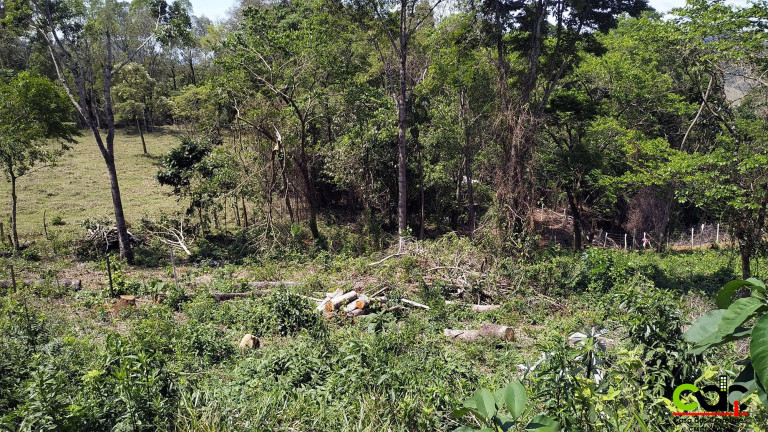 Imagem Imóvel à Venda, 667 m² em Laranjeira De Caldas - Caldas Imagem Imóvel à Venda, 667 m² em Laranjeira De Caldas - Caldas
