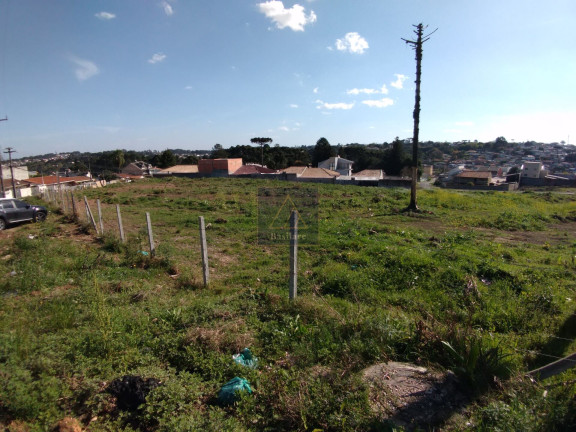 Imagem Terreno à Venda, 9.139 m² em Campo Pequeno - Colombo Imagem Terreno à Venda, 9.139 m² em Campo Pequeno - Colombo