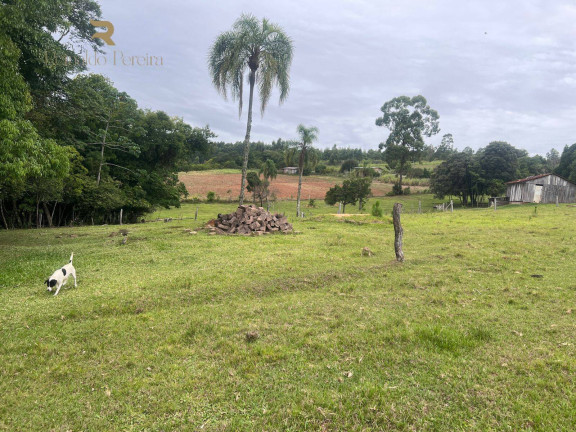 Imagem Chácara com 2 Quartos à Venda, 32.000 m² em Fazenda Fialho - Taquara Imagem Chácara com 2 Quartos à Venda, 32.000 m² em Fazenda Fialho - Taquara