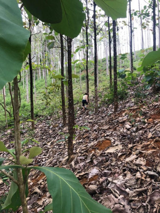 Imagem Terreno à Venda, 72.000 m²