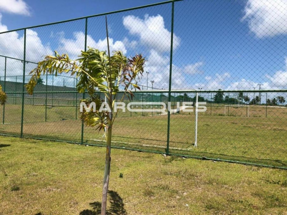 Imagem Terreno à Venda, 300 m² em Jacumã - Conde