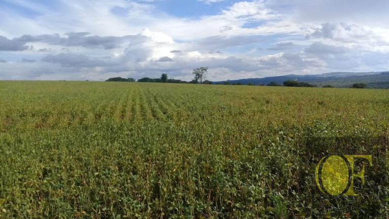 Imagem Fazenda à Venda, 75 m² em Rural - Paranapanema Imagem Fazenda à Venda, 75 m² em Rural - Paranapanema