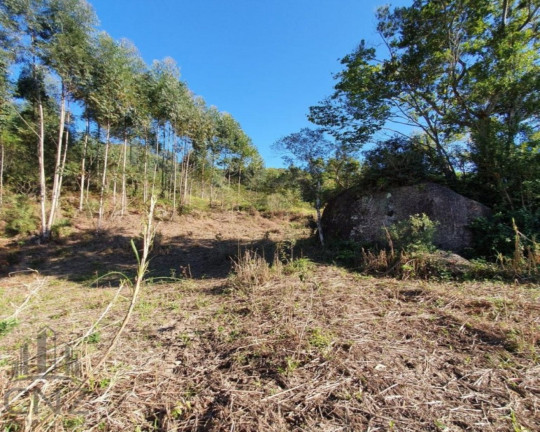 Imagem Imóvel com 1 Quarto à Venda, 96.000 m² em Dom Joaquim - Brusque Imagem Imóvel com 1 Quarto à Venda, 96.000 m² em Dom Joaquim - Brusque
