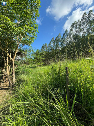 Imagem Chácara com 6 Quartos à Venda, 55.000 m² em Belo Oriente Imagem Chácara com 6 Quartos à Venda, 55.000 m² em Belo Oriente