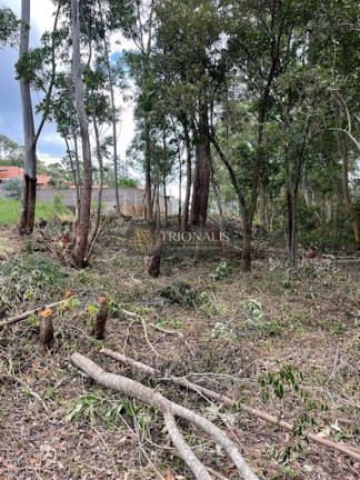 Imagem Terreno à Venda, 360 m² em Bosque Dos Eucalíptos - Atibaia Imagem Terreno à Venda, 360 m² em Bosque Dos Eucalíptos - Atibaia