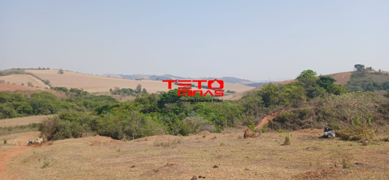 Imagem Imóvel com 4 Quartos à Venda,  em Zona Rural - Conceição Do Rio Verde