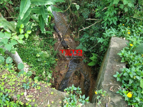 Imagem Imóvel com 3 Quartos à Venda,  em Zona Rural - Pouso Alto