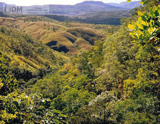 Imagem Chácara à Venda, 12.000.000 m² em Centro - Niquelândia Imagem Chácara à Venda, 12.000.000 m² em Centro - Niquelândia