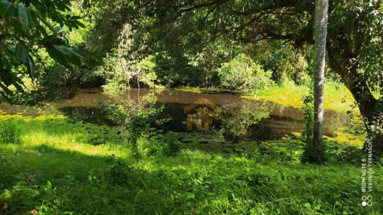 Imagem Chácara com 6 Quartos à Venda, 65.000 m² em Aldeia - Camaragibe Imagem Chácara com 6 Quartos à Venda, 65.000 m² em Aldeia - Camaragibe