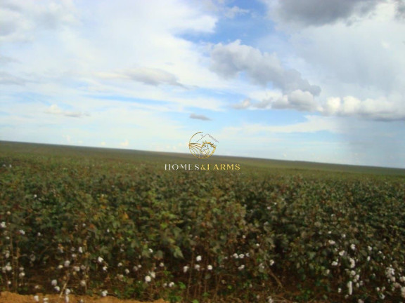 Imagem Imóvel com 3 Quartos à Venda, 17.897 m² em Zona Rural - água Boa Imagem Imóvel com 3 Quartos à Venda, 17.897 m² em Zona Rural - água Boa