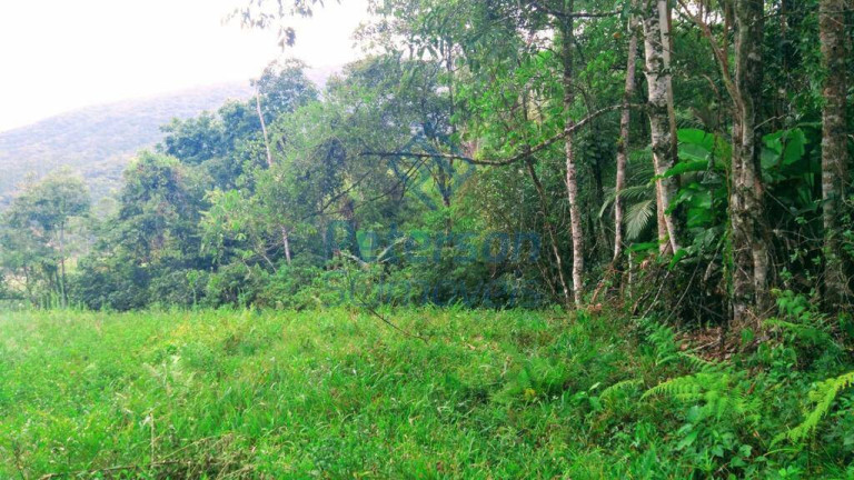 Imagem Chácara à Venda, 20 m² em Tigipió - São João Batista
