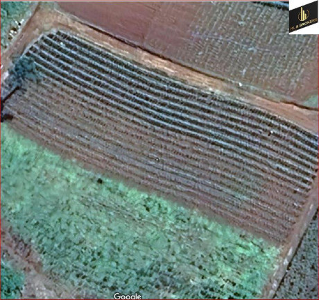 Imagem Imóvel com 3 Quartos à Venda, 48.000 m² em Bairro Retiro - Campo Magro Imagem Imóvel com 3 Quartos à Venda, 48.000 m² em Bairro Retiro - Campo Magro