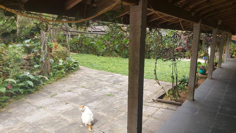 Imagem Chácara com 5 Quartos à Venda, 5.000 m² em Horto Florestal - Ubatuba Imagem Chácara com 5 Quartos à Venda, 5.000 m² em Horto Florestal - Ubatuba